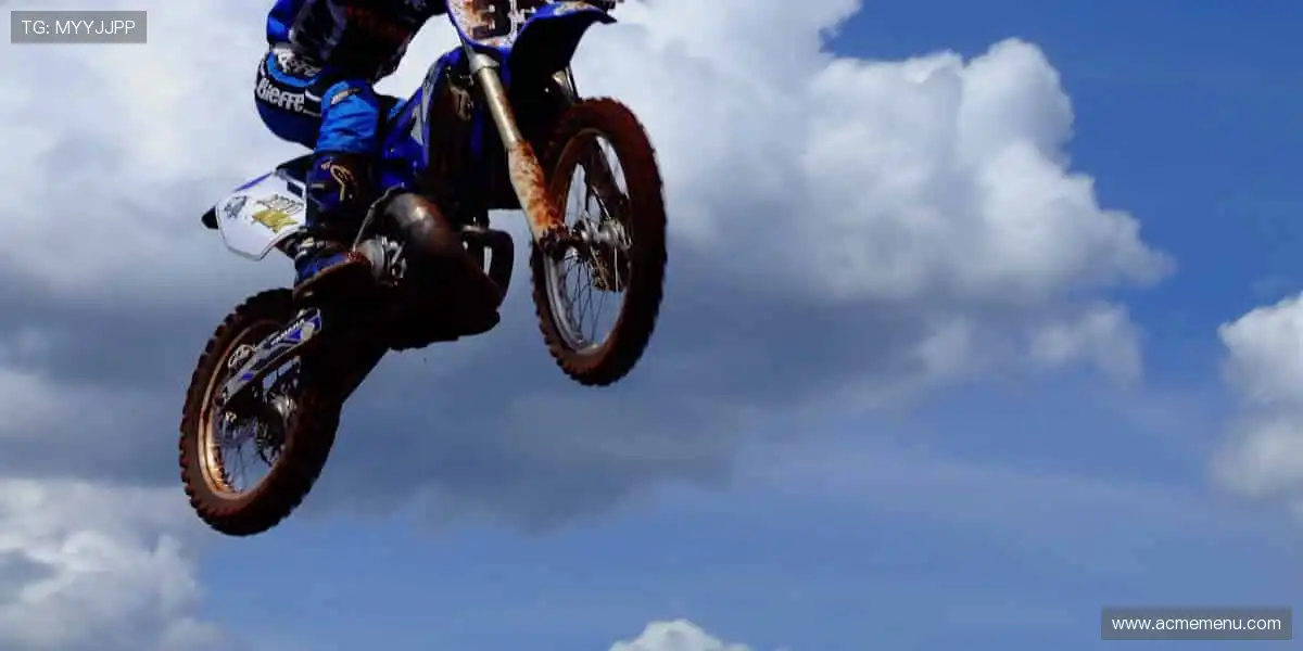 电子游戏首选平台:专业高清服务升级,实时操控更刺激